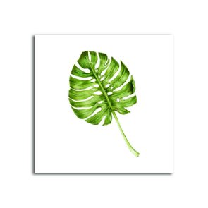 Placa Decorativa Folha Costela-de-adão Placa Decorativa Folha Costela-de-adão