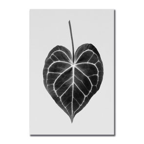 Placa Decorativa Folha Costela de Adão Placa Decorativa Folha Costela de Adão