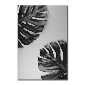 Placa Decorativa Folhas Costela de Adão Placa Decorativa Folhas Costela de Adão