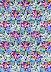 Placa Decorativa Gato Colorido e Preto e Branco Placa Decorativa Gato Colorido e Preto e Branco