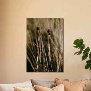 Placa Decorativa Natureza Minimalista Plantas Secas Placa Decorativa Natureza Minimalista Plantas Secas