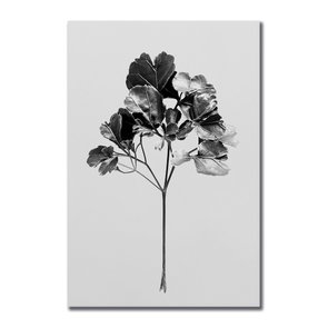 Placa Decorativa Papel de Parede Folhagem Natureza Placa Decorativa Papel de Parede Folhagem Natureza