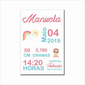 Placa Decorativa Personalizada Infantil Maternidade - Menina Placa Decorativa Personalizada Infantil Maternidade - Menina