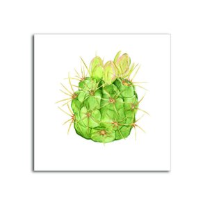 Placa Decorativa Planta Cactus com Flores Placa Decorativa Planta Cactus com Flores