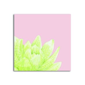 Placa Decorativa Planta Suculenta com Fundo Rosa Placa Decorativa Planta Suculenta com Fundo Rosa