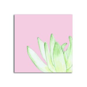 Placa Decorativa Planta Suculenta com Fundo Rosa Placa Decorativa Planta Suculenta com Fundo Rosa