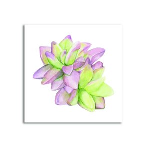 Placa Decorativa Planta Suculenta com Tons de Roxo Placa Decorativa Planta Suculenta com Tons de Roxo