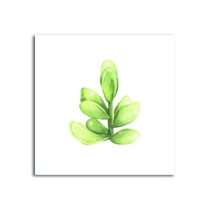 Placa Decorativa Planta Suculenta fundo Branco Placa Decorativa Planta Suculenta fundo Branco