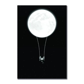 Placa Decorativa Preto e Branco Balanço na Lua Placa Decorativa Preto e Branco Balanço na Lua