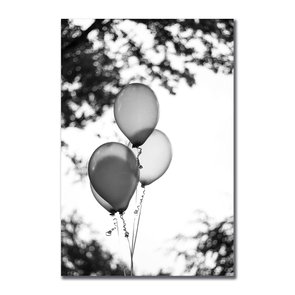 Placa Decorativa Preto e Branco Balões em Parque Placa Decorativa Preto e Branco Balões em Parque