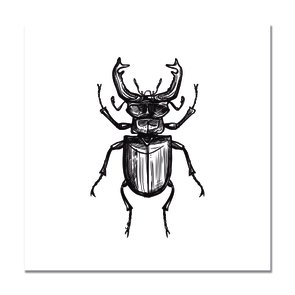 Placa Decorativa Preto e Branco Besouro Placa Decorativa Preto e Branco Besouro