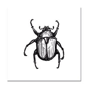 Placa Decorativa Preto e Branco Carocha Placa Decorativa Preto e Branco Carocha