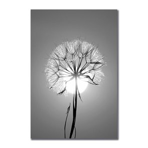 Placa Decorativa Preto e Branco Dente de Leão em Frente ao Sol Placa Decorativa Preto e Branco Dente de Leão em Frente ao Sol