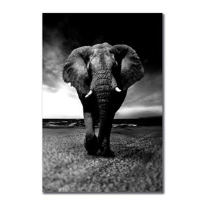 Placa Decorativa Preto e Branco Elefante Caminhando Placa Decorativa Preto e Branco Elefante Caminhando