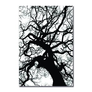 Placa Decorativa Preto e Branco Galhos de Árvore Placa Decorativa Preto e Branco Galhos de Árvore