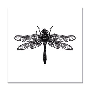 Placa Decorativa Preto e Branco Libélula Placa Decorativa Preto e Branco Libélula