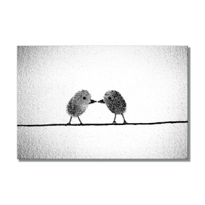 Placa Decorativa Preto e Branco Pássaros de Impressão Digital Placa Decorativa Preto e Branco Pássaros de Impressão Digital