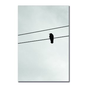 Placa Decorativa Preto e Branco Pássaro em Fio Elétrico Placa Decorativa Preto e Branco Pássaro em Fio Elétrico