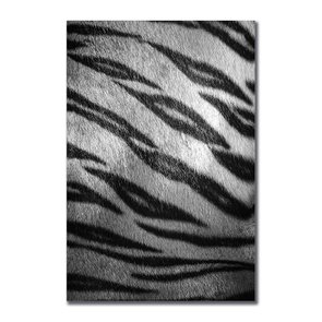 Placa Decorativa Preto e Branco Pele de Tigre Placa Decorativa Preto e Branco Pele de Tigre