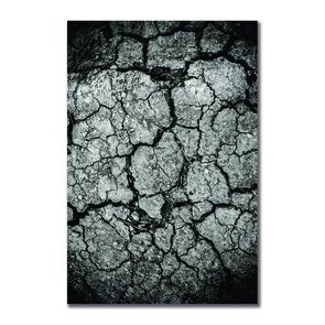 Placa Decorativa Preto e Branco Solo Árido Rachado Placa Decorativa Preto e Branco Solo Árido Rachado