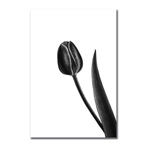 Placa Decorativa Preto e Branco Tulipa Placa Decorativa Preto e Branco Tulipa