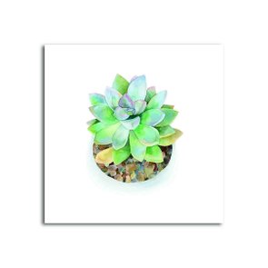Placa Decorativa Suculenta em Vaso Branco Placa Decorativa Suculenta em Vaso Branco