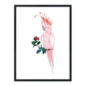 Quadro Decorativo Cacatua Rosa Quadro Decorativo Cacatua Rosa