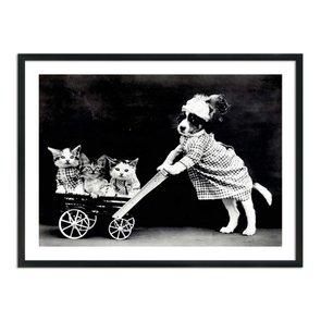 Quadro Decorativo Cachorrinha com Gatinhos Quadro Decorativo Cachorrinha com Gatinhos