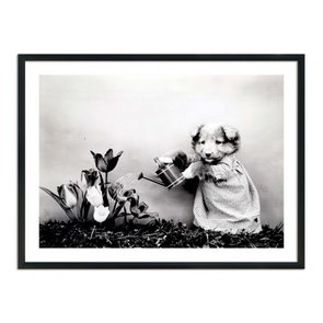 Quadro Decorativo Cachorrinha Jardineira Quadro Decorativo Cachorrinha Jardineira