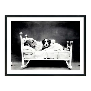 Quadro Decorativo Cachorrinhos Soninho Quadro Decorativo Cachorrinhos Soninho