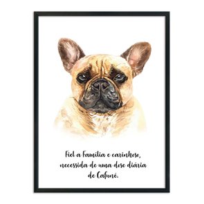 Quadro Decorativo Cachorro Buldog Francês Características da Raça Quadro Decorativo Cachorro Buldog Francês Características da Raça