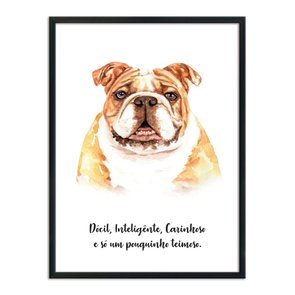 Quadro Decorativo Cachorro Bulldog Inglês Características da Raça Quadro Decorativo Cachorro Bulldog Inglês Características da Raça