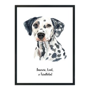 Quadro Decorativo Cachorro Dálmata Características da Raça Quadro Decorativo Cachorro Dálmata Características da Raça