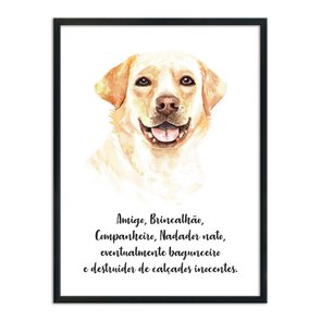 Quadro Decorativo Cachorro Labrador Características da Raça Quadro Decorativo Cachorro Labrador Características da Raça