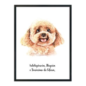 Quadro Decorativo Cachorro Poodle Características da Raça Quadro Decorativo Cachorro Poodle Características da Raça