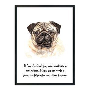Quadro Decorativo Cachorro Pug Características da Raça Quadro Decorativo Cachorro Pug Características da Raça