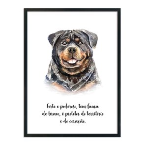 Quadro Decorativo Cachorro Rottweiler Características da Raça Quadro Decorativo Cachorro Rottweiler Características da Raça