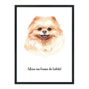 Quadro Decorativo Cachorro Spitz Alemão ou Lulu Da Pomerânia Caracaterísticas da Raça Quadro Decorativo Cachorro Spitz Alemão ou Lulu Da Pomerânia Caracaterísticas da Raça