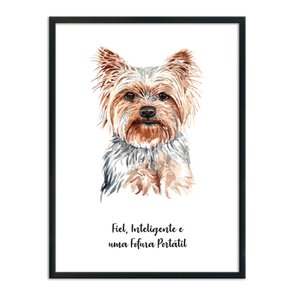 Quadro Decorativo Cachorro Yorkshire Características da Raça Quadro Decorativo Cachorro Yorkshire Características da Raça