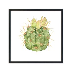 Quadro Decorativo Cacto Espinhoso Q3186_1 Quadro Decorativo Cacto Espinhoso Q3186_1