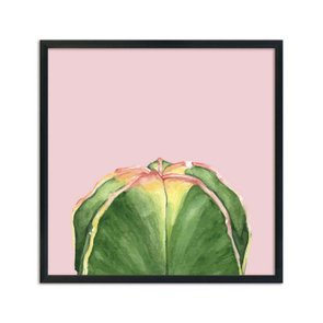 Quadro Decorativo Cactos Verde com Espinhos Fundo Rosa Q3193_1 Quadro Decorativo Cactos Verde com Espinhos Fundo Rosa Q3193_1