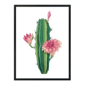 Quadro Decorativo Cactus com Flores Quadro Decorativo Cactus com Flores