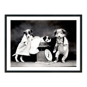 Quadro Decorativo Caezinhos Médico Quadro Decorativo Caezinhos Médico