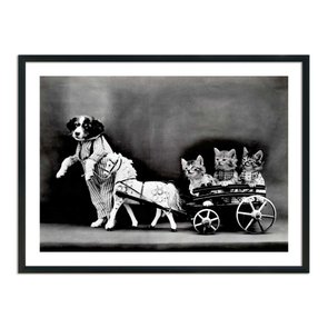 Quadro Decorativo Cão Carrocinha Quadro Decorativo Cão Carrocinha