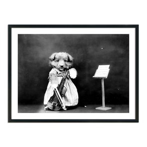 Quadro Decorativo Cão Violonista Quadro Decorativo Cão Violonista