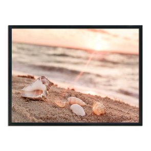 Quadro Decorativo  Coleção Mar Conchas Quadro Decorativo  Coleção Mar Conchas