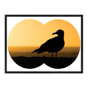 Quadro Decorativo  Coleção Mar Gaivota Quadro Decorativo  Coleção Mar Gaivota