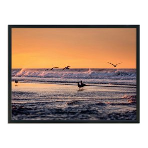 Quadro Decorativo  Coleção Mar Pássaros A Beira Mar Quadro Decorativo  Coleção Mar Pássaros A Beira Mar