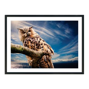 Quadro Decorativo Coruja Quadro Decorativo Coruja