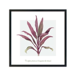 Quadro Decorativo de Folhagem Coqueiro-de-Vênus Q3171_1 Quadro Decorativo de Folhagem Coqueiro-de-Vênus Q3171_1